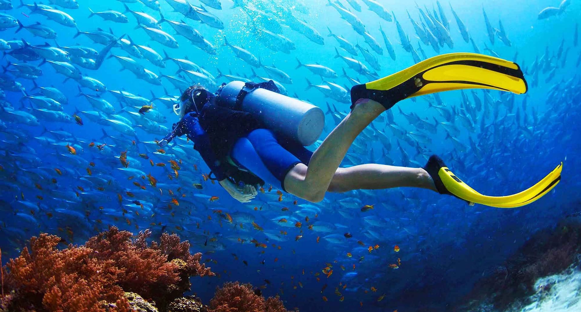 Scuba-Diving-in-Port-Blair-Sucba-Diving-in-Andaman